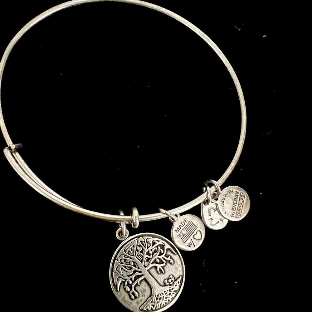Alex and Ani Bracelet